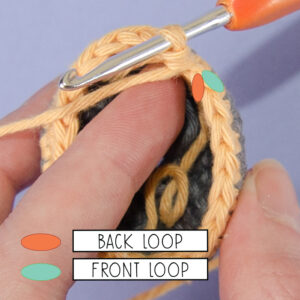 :: Back loop and Front loop ::