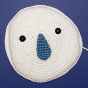 The face of the moon…