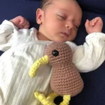 Crochet doll – Kiwi bird