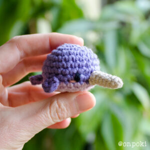 A tiny Narwhal I could not resist